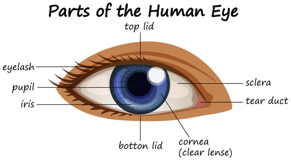 FACTORS TO CONSIDER WHEN TAKING CARE OF YOUR EYES